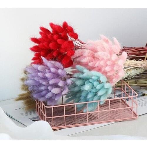 30pcs/set Natural Dried Flowers Rabbit Tail Grass Bunch Real Flower Ovatus For Wedding Colorful Decoration Lagurus Grass Pr L0Z1
