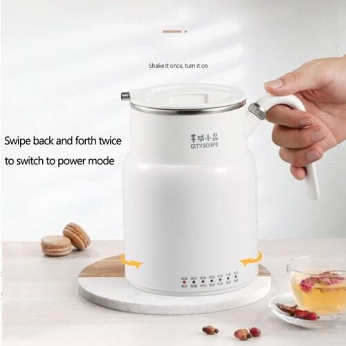 ZK30 220V Multifunction Electric Kettle Teapot Health Preserving Pot Hot Pot Rice CookerHeat Preservation Kettle 600W For Office