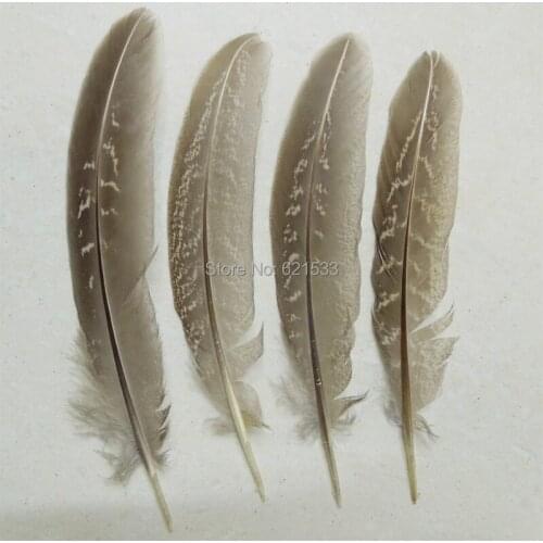 100Pcs/Lot,5-6inches -NATURAL Female Ringneck Pheasant Wing Feathers,Ringneck Pheasant Feathers for Making Jewelry