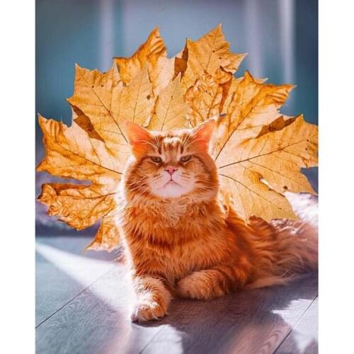 5D DIY Diamond Painting Fallen leaves Orange Cat Full Drill Embroidery Cross Stitch Mosaic Craft Kits Home Decor Halloween Gift