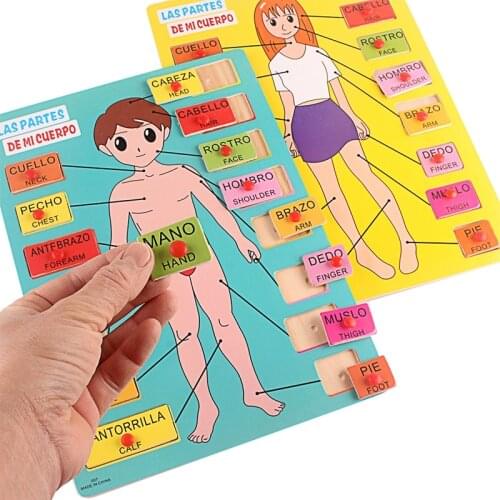 Spanish Baby Body Puzzle Toy Plastic Pegged Puzzles English Boy Girl Body Parts Educaction Toys for Children Safety Teaching Aid