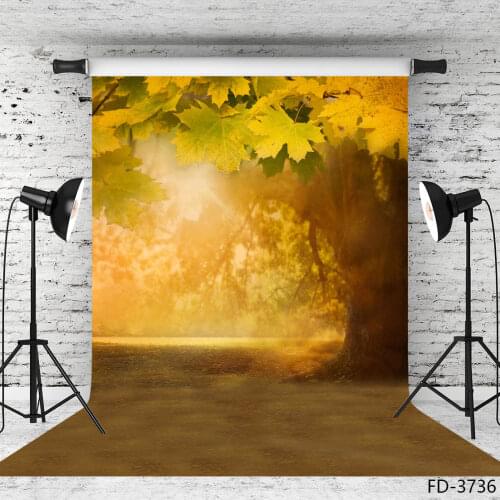 Bokeh Autumn Photographic Backgrounds Maple Leaves Sunshine Photo Backdrops for Party Children Portrait Photobooth Photo Studio