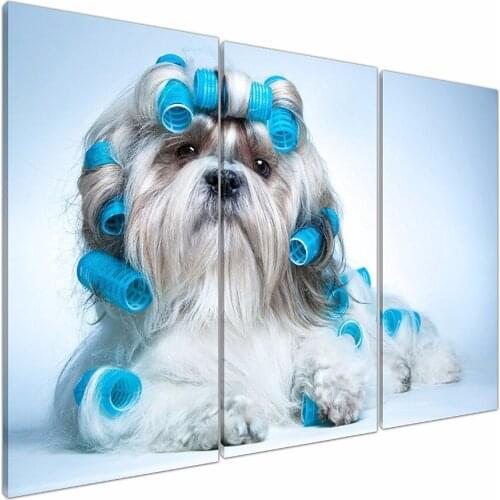 3 Piece Giclee Canvas Prints Artwork Beautiful Cute Curly Shih Tzu Dog Puppy Photo Paintings on Canvas Wall Art for bedroom
