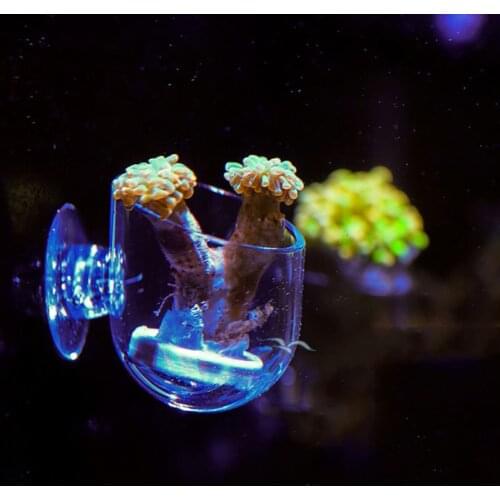 Suction Cup Aquarium Glass Vase Fish Tank Decor Decoration Accessories Mini Crystal Acrylic Pot Polka Water Potted