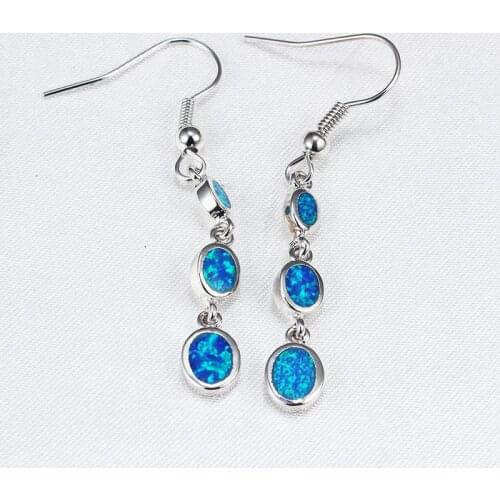 Blue Opal Earrings Fashion Jewelry Gift ER316