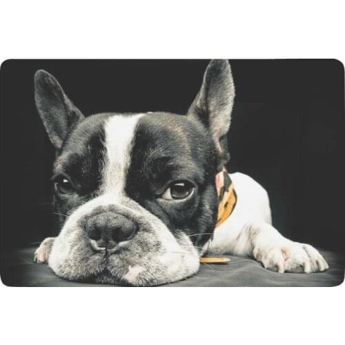 Close Plane of a French Bulldog Anti-slip Door Mat Home Decor, Funny Animal Indoor Outdoor Entrance Doormat Rubber Backing