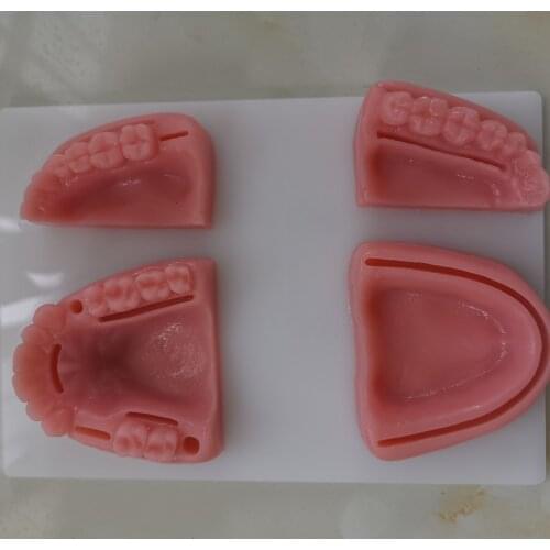 New Dental Oral Gum suture training module silicone periodontitis suture model
