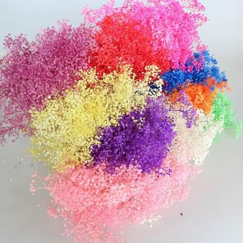 Babysbreath Natural Fresh Dried Preserved GypsophilaDry Flowers Bouquet,Real Forever Baby Breath Flower,wedding Decoration