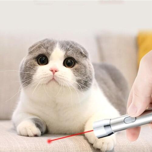 Laser Funny Cat Light Rechargeable Funny Cat Chaser Toys Mini Flashlight Laser Led Pen Light Cat Light Pointers Funny Pet Toys