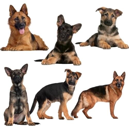 Three Ratels QC388 HD pixel German Shepherds Waterproof dog sticker Vinyl auto Wrap for car hood laptop home decoration decals