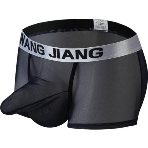 Sexy Man Sexy Mesh Boxers Panties Male Gay Penis Pouch Elephant Nose Jockstrap Bulge Underwear Men Shorts Super Thin See Through