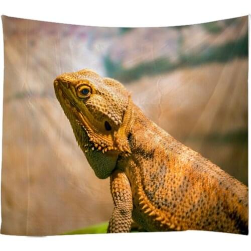 Creative 3D Animal Photographs Lizard Cabrite Tapestry Wall Hanging Bed Spread Beach Towel Table Cloth Yoga Mat Large Size