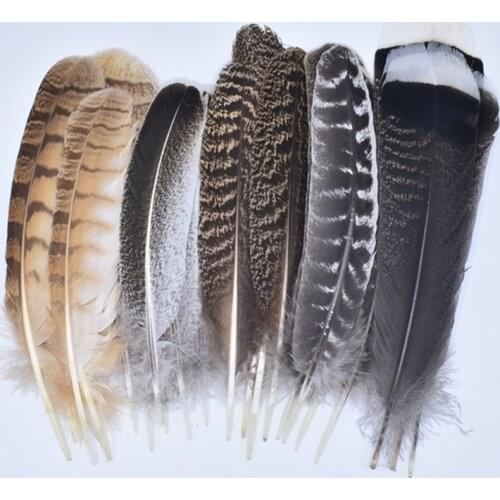 10Pcs/Lot Real Natural Eagle Feathers for Decoration Crafts Turkey Pheasant Carnival Accessories Clothes Feather Decor Plumes