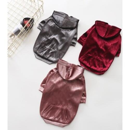 Velvet Pet Dog Clothes Leisure Sports Pet Hoodie Clothes for Small and Medium Dog Chihuahua Jacket Best Selling Pet Supplies