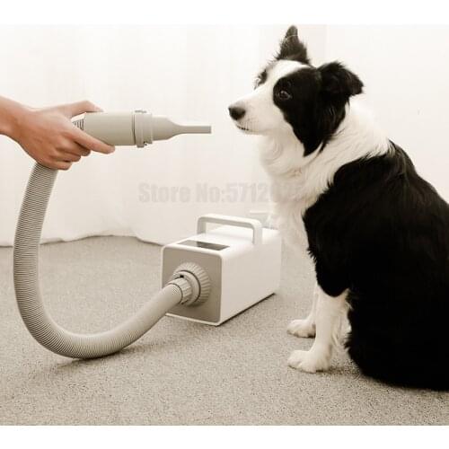 Intelligent LED Pet Hair Dryer Negative Ion Dog Grooming Dryer UK/EU/US Plug Professional Pet Dog Cat Grooming Blower Warm Wind