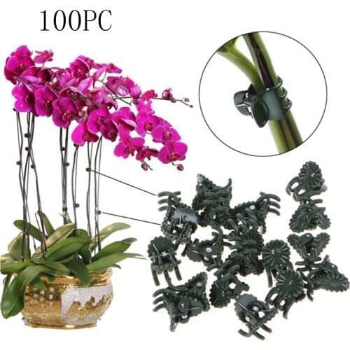 100pcs Garden Plant Clips Plastic Support Orchid Stem Clip for Vine Vegetables Flower Tied Bundle Branch Clamping Garden Tool