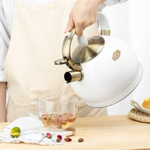 Kettle household items suitable for induction cooker gas stove whistling stainless steel kettle kitchen accessories cold kettle