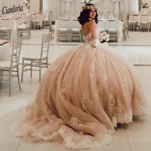 Champagne V-Neck Spaghetti Strap Ball Gown Quinceanera Dresses Appliques Lace Sleeveless Sweet 16 Dress Prom Party Dress