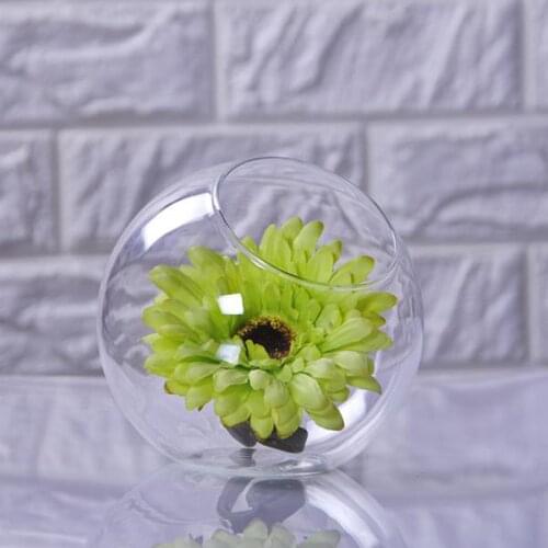 Globe Glass Flower Plant Pot Vase Holder Hydroponic Terrarium Container Decor