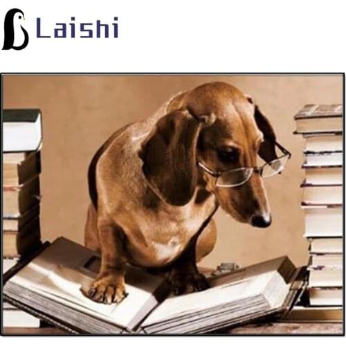Diamond Painting Full Round Dog Animal Professor Dachshund reading a book Diamond Embroidery Mosaic Picture By Numbers Decor
