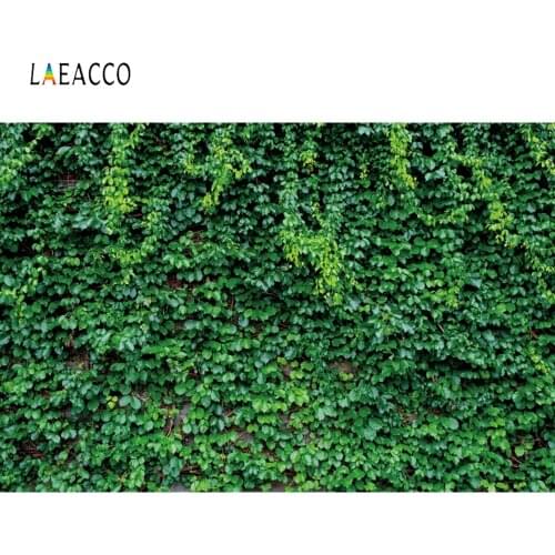 Laeacco Green Grass Leaves Wooden Board Portrait Baby Photography Backgrounds Customized Photographic Backdrops For Photo Studio