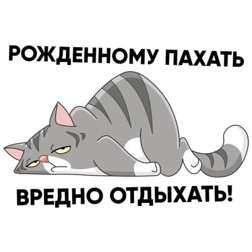 Rulemylife is born for plow-bad rest! Creative cartoon cat car stickers decoration car auto parts