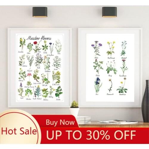 Wild Flowers Chart Canvas Painting Plant Flower Species Botanical Educational Poster Print Wall Picture Kids Room Wall Art Decor