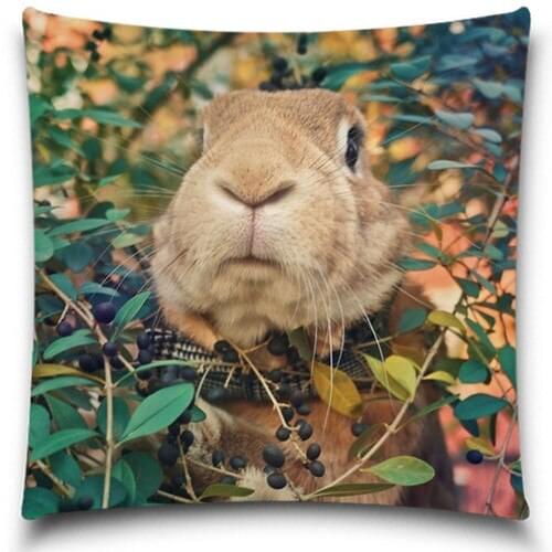 Rabbit Sofa Bed throw pillow case cushions home decor decorative Cushion cover Christmas Gift high quality 5 size 9 style