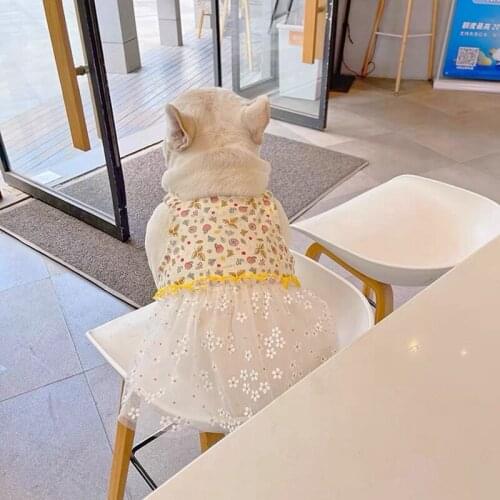 French Bulldog Fruit Style Dress Pet Dog Summer Clothes For Small Medium Dogs Puppy Chihuahua Yorkie Pug Clothing Skirt LAC37