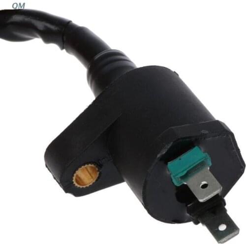 13MF Motorcycle Ignition Coil Replacement Parts for trx300 GY6 50cc 125cc 150cc Engine Motorcycle Dirt Bike Scooter Moped