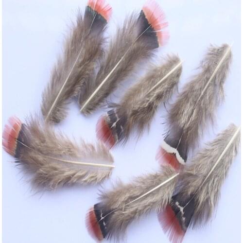 5-8 cm Hot 10 pcs Pretty Natural Pheasant Feathers DIY Jewelry Clothing Hat Christmas Holiday Decoration
