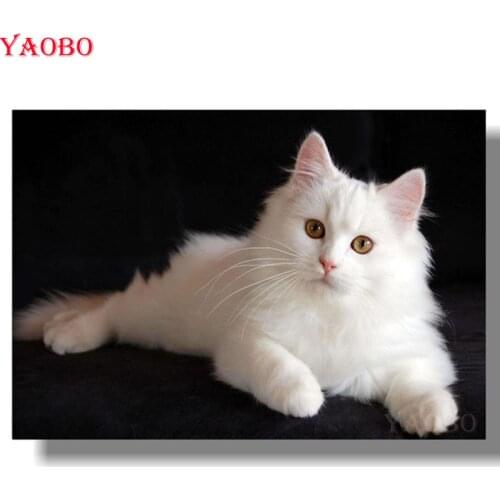 5D DIY Diamond Painting White kitten Full Square Round Cross stitch bead Embroidery rhinestones Mosaic diamond picture animal