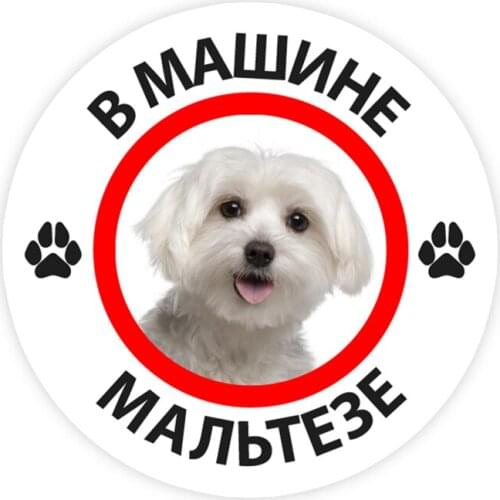 B0232#13/17CM Maltese In the Car Self-adhesive Decal Car Sticker Waterproof Auto Decors on Bumper Rear Window
