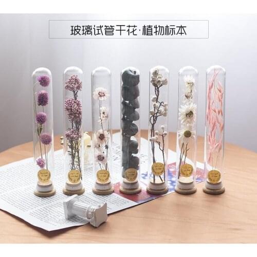 Gift Glass Test Tube Dried Flower Bouquet Immortal Flower Plant Specimen Decoration Decoration Wish Decorations for Home