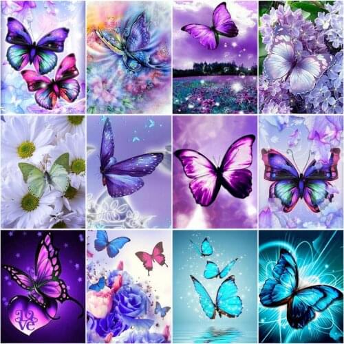 RUOPOTY Butterfly Diy Painting By Numbers With Frame 60x75cm Animals Paint By Numbers For Adults Diy Gift Home Decors Artcraft
