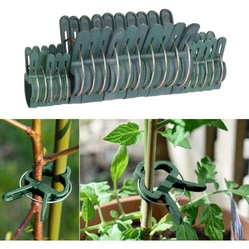 20Pcs Reusable Plant Clips Plastic Gardening Accessories for Supporting Stems of Flower Vine Vegetables Tomatoes Climbing