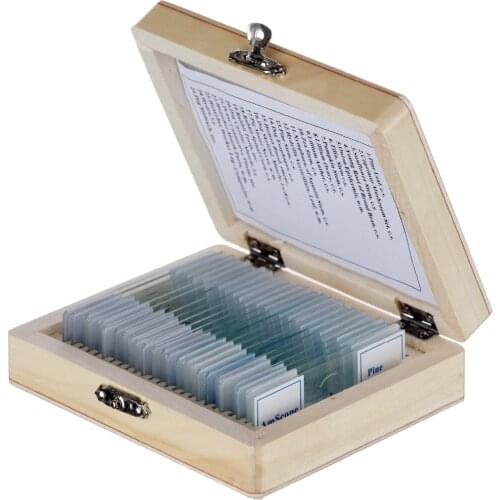 AmScope 25 Glass Prepared Microscope Slides with Wooden Box PS25W