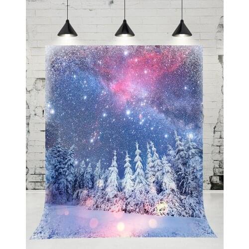 VinylBDS Photo Backdrops Thick Snow Winter Sun Fond Photographie Cedar Fantasy Sky Background Backdrop