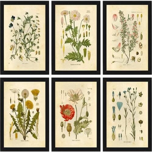 Vintage Botanical Prints Wildflower Prints Painting Posters French Plant Illustrations Wall Art Prints Pictur Kraft Paper Poster