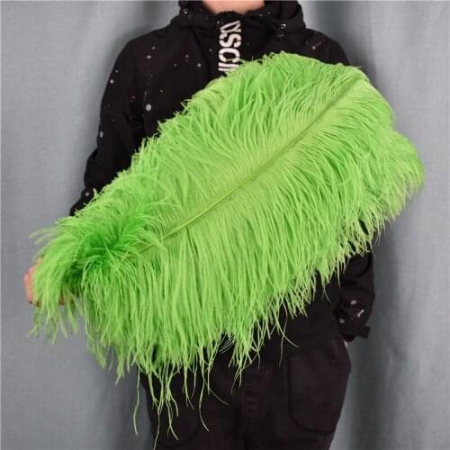 50Pcs Apple Green Ostrich Feathers Table Centerpieces Large Natural Feather Party Decoration Carnival Accessories DIY Handicraft