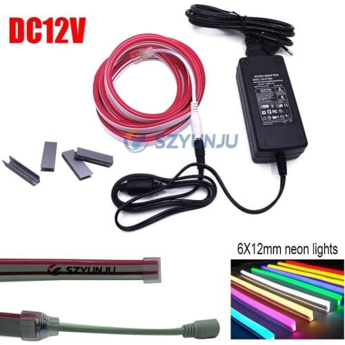 6 X 12mm DC12V SMD 2835 Flexible led strip neon ribbon lights silicone tube IP68 Red Green Blue white and led 12V power adapter