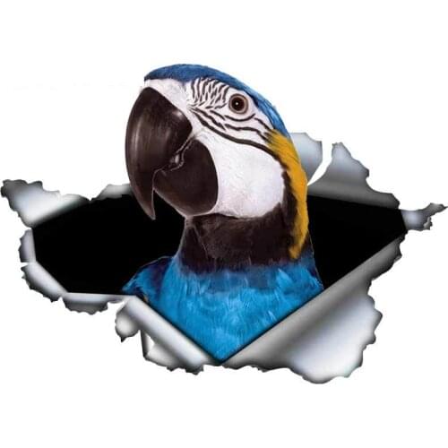 Creative Decals for Torn Metal Parrot DIY Car Stickers Fashion Decal Car Accessories Auto Decoration for VAN RV,13cm*9cm
