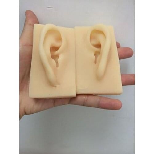 1pcs Human Life Size Ear Model, Anatomically Accurate Silicone Model Practice Model for Science Classroom Study Display Tools
