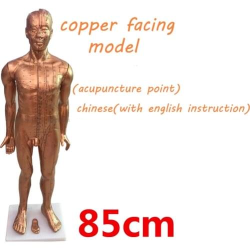 Copper facing plastic acupuncture point model traditional Chinese medical body model 85cm high model