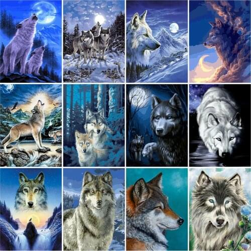 HUACAN Picture By Number Wolf Wall Art Oil Painting Animal Drawing Canvas Acrylic Handpainted Gift Home Decor