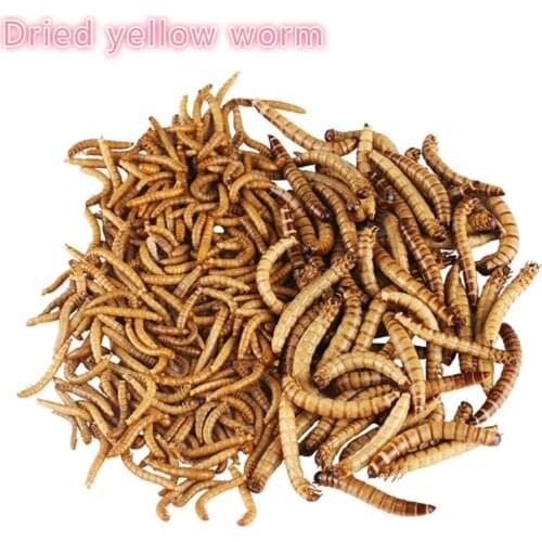 50/100/200g Natural Dried Mealworm Food Meal For Feeding Pet Reptile Chickens Wild Garden Bird Aquarium Worm