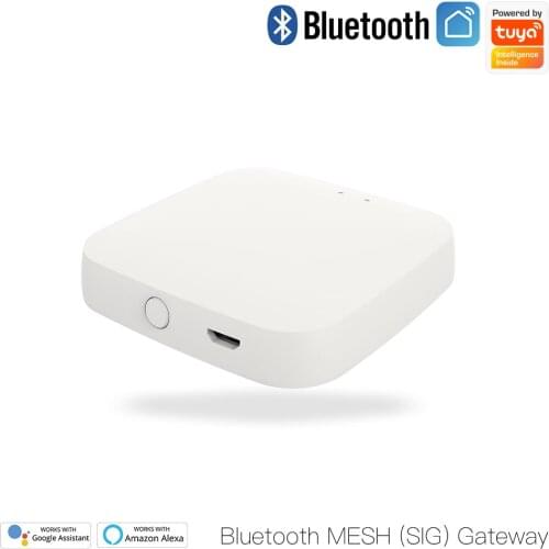 Bluetooth Gateway Smart Mesh SIG HUB Wireless Home Bridge Devices Homekit Tuya APP Voice Control Support Alexa Google Assistant