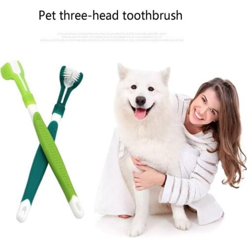 New Fashion Simple Pet Dog Toothbrush Oral Cleaning Care Products Plastic Cat Medium Dog Cat Dog Three-Head Toothbrush