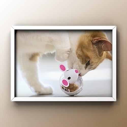 1 Pcs Pet Cat dog Fun Tumbler Feeder Toy Mouse Leaking Food Balls Pet Educational Toys Pet Leakage Device Funny Interactive Toy