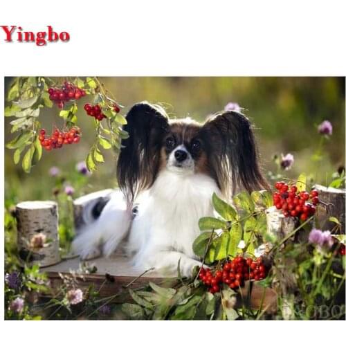 Wall stickers diamond painting Papillon dog 5d diy Rhinestone mosaic painting Home Decor,Diamond Embroidery Cross Stitch kits